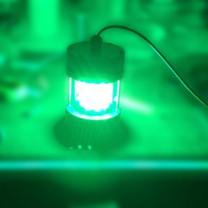 kalamar lambası, balık yakalama lambası