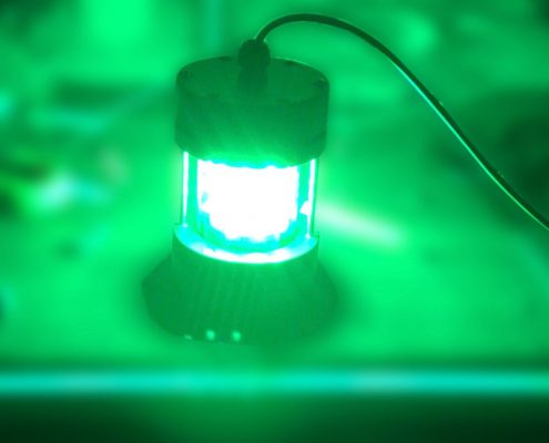 kalamar lambası, balık yakalama lambası