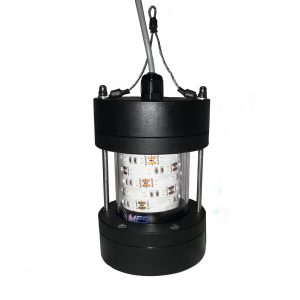 kalamar lambası, balık yakalama lambası