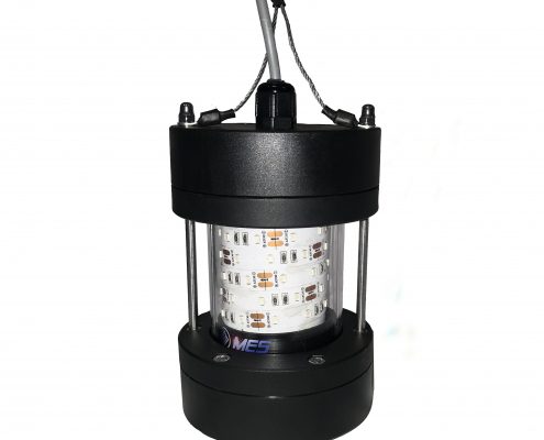 kalamar lambası, balık yakalama lambası